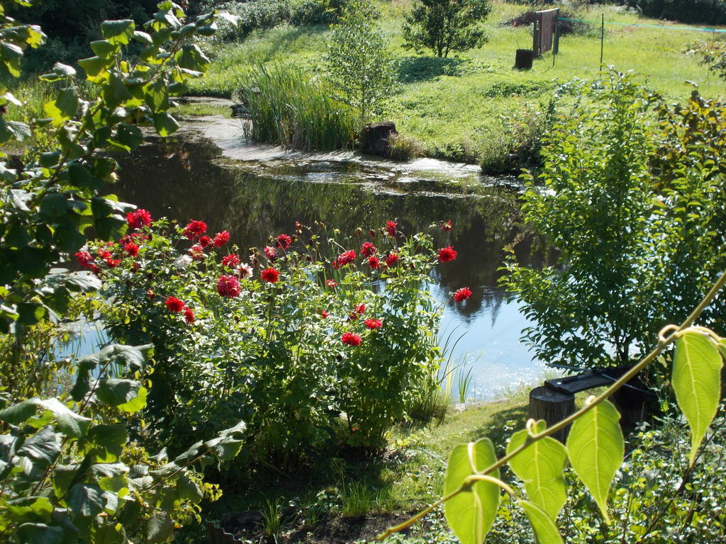 Homestay Roja Vilnius Ngoại thất bức ảnh